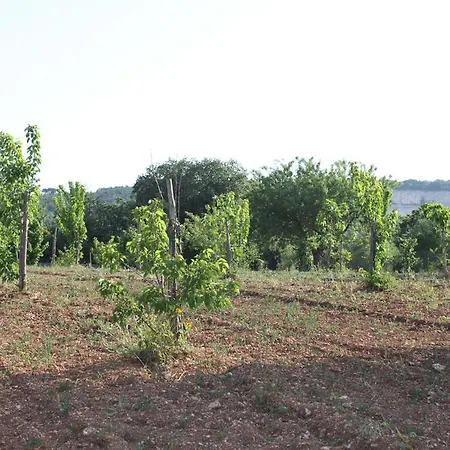 Trulli Del Duca 아파트 마르티나프란카