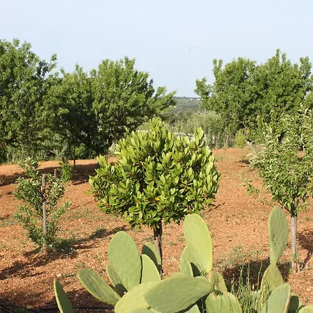 Trulli Del Duca Apartament